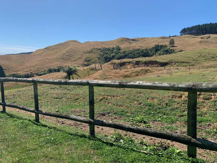 233 Goble Road Paeroa_9