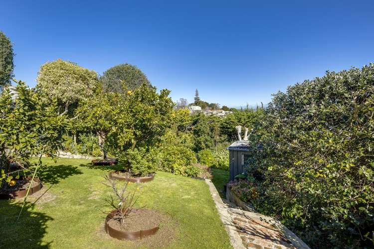 34 Roslyn Road Bluff Hill_6