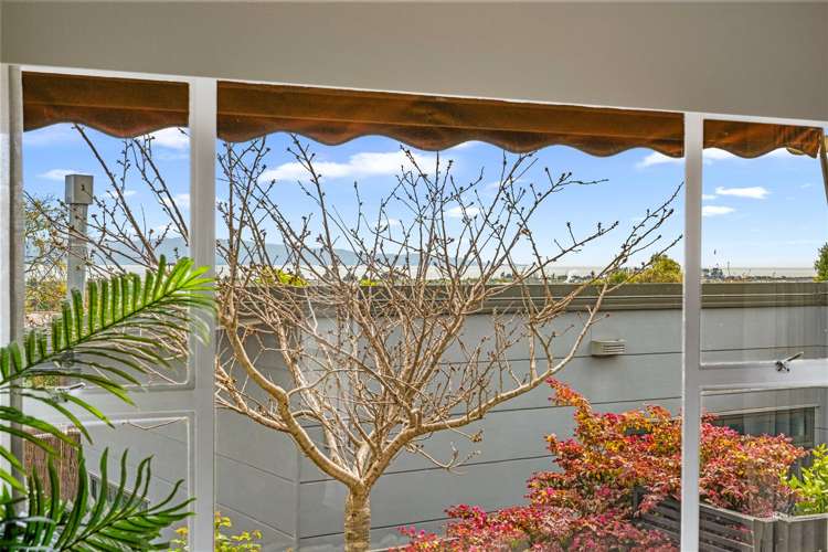 5 Tarata Street Stoke_18