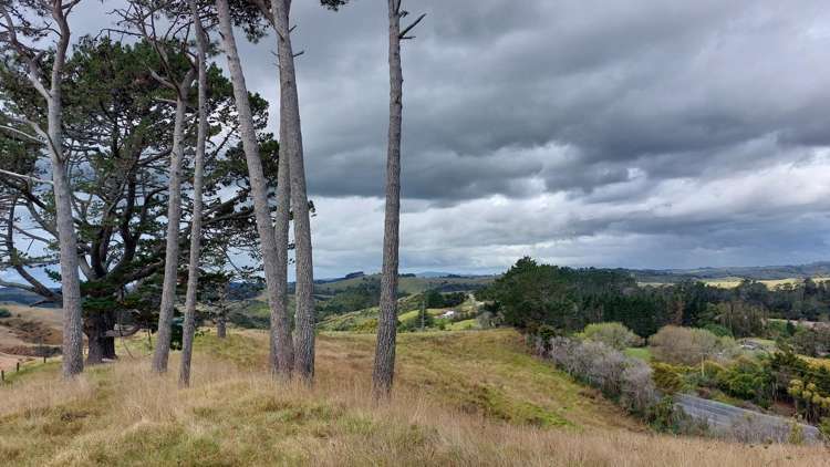 Wearmouth Road Paparoa_14