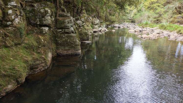 Lot 3/286 Mangakaretu Road Waipapa_21