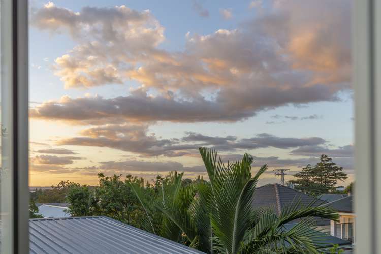 4 Dexter Avenue Mount Eden_13