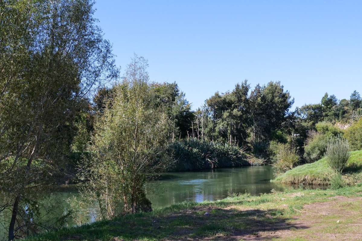 206 Casuarina Drive_2