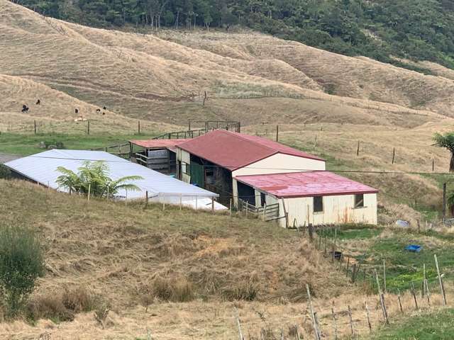 233 Goble Road Paeroa_2