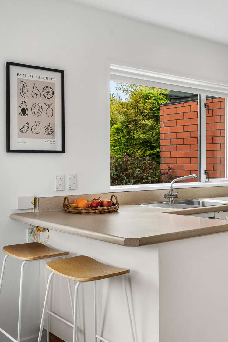 12 McLeish Lane Spreydon_9