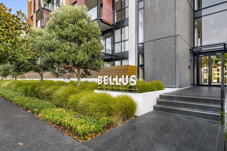 213/189 College Road Stonefields_20