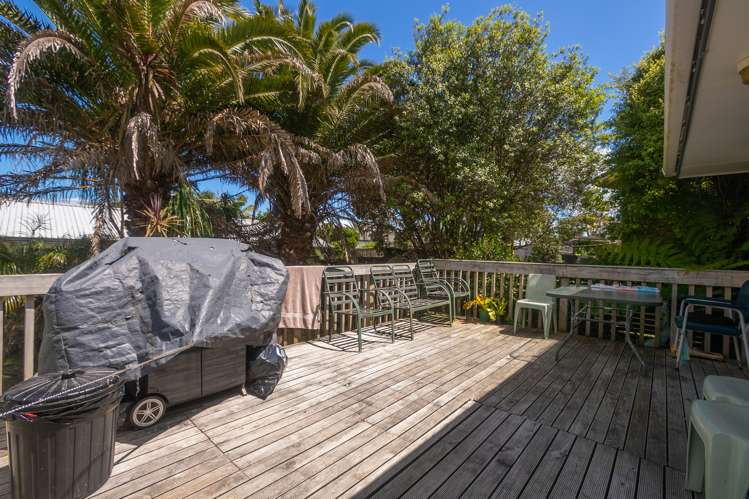 187 Finlayson Avenue Clendon Park_7