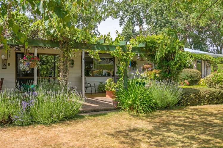 216 Neal Road Spring Creek_3