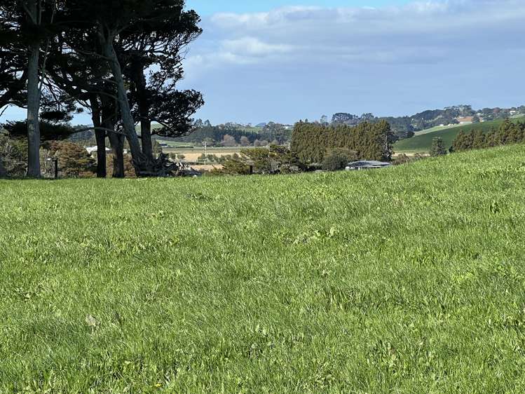 678 Waiuku Road Mauku_16