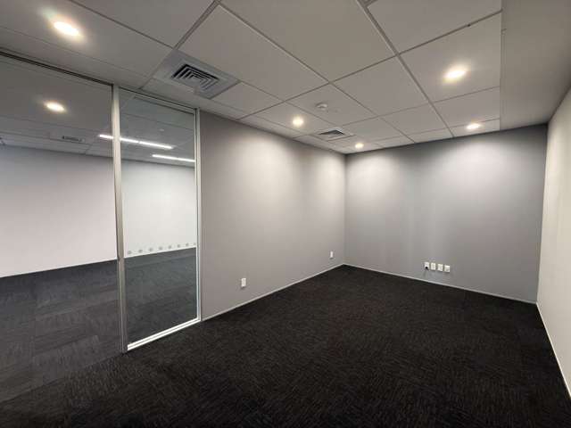139 Carlton Gore Road Newmarket_4