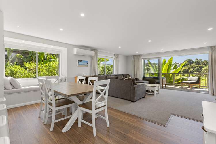 25d Primrose Street Raglan_7