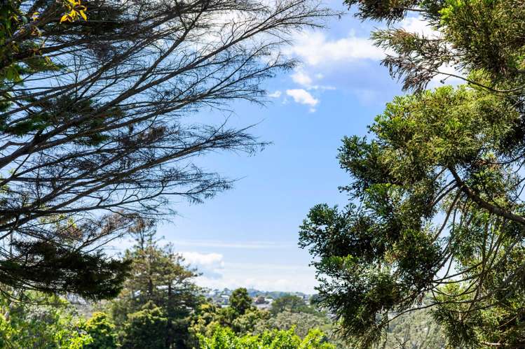 1/24 Golf Road New Lynn_21