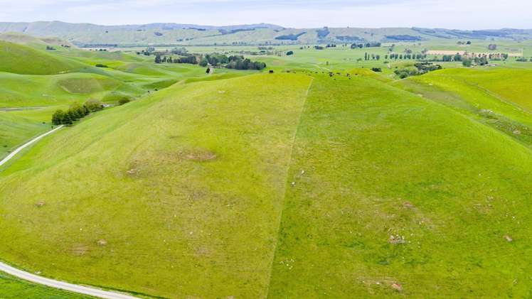 Corner Te Aute Trust Road and Aupaki Road Poukawa_8