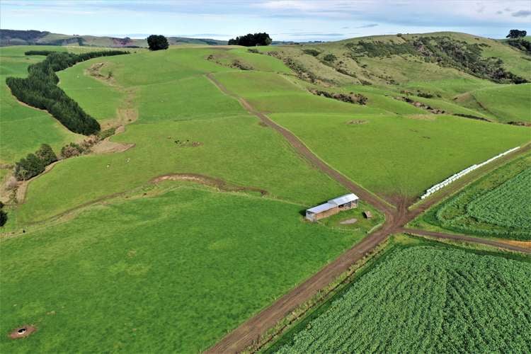 906 Waimahaka Fortification Road Fortification_6