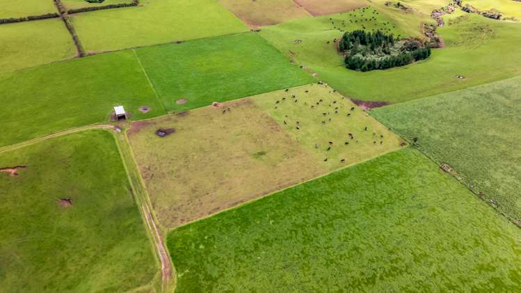 165 Oxford Road Okato_11