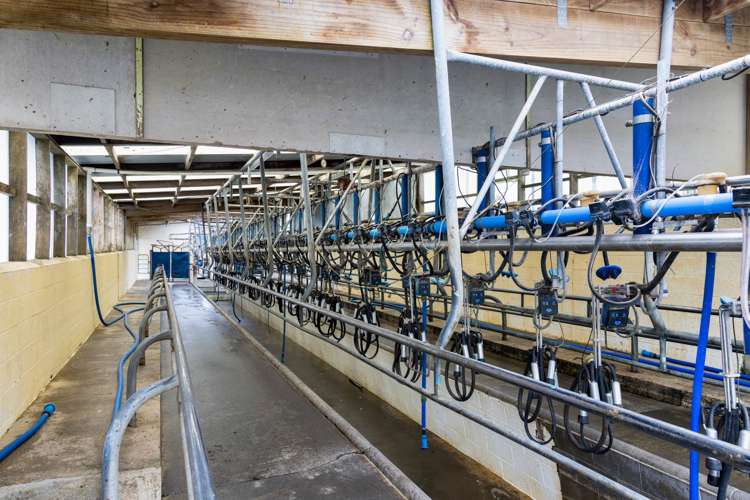 256 Lower Stuart Road Eltham_13