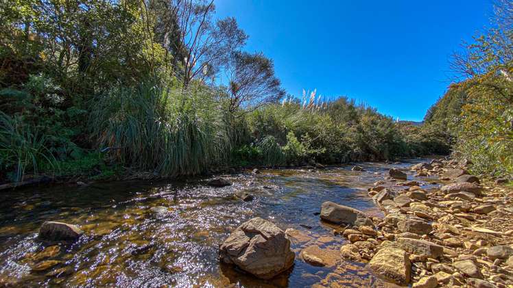 783 Kopu Hikuai Sh25a Road Kopu_24