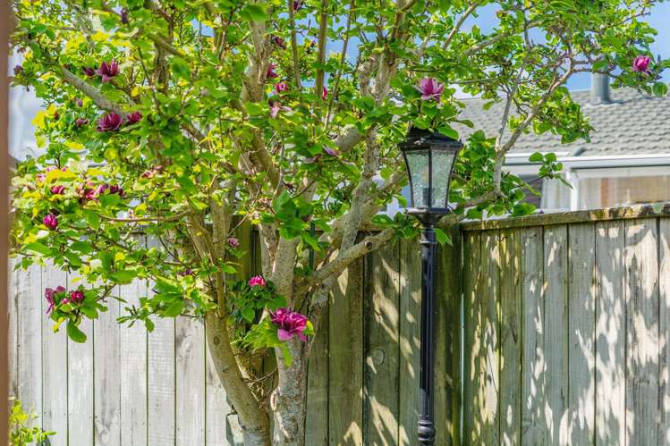 51 Fraser Crescent Elderslea_12