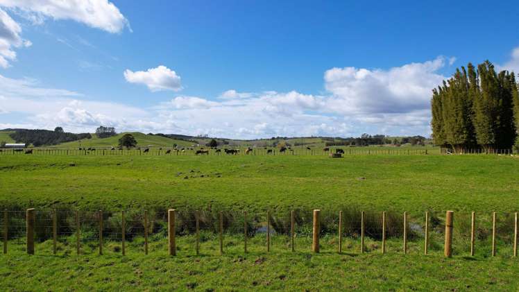 Lot Lot 1 Marshall Road Pakaraka_9