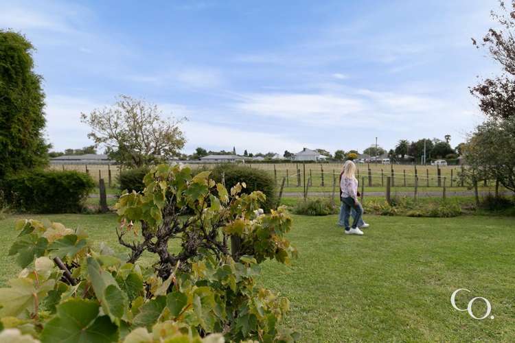 202 Murdoch Road West Raureka_19