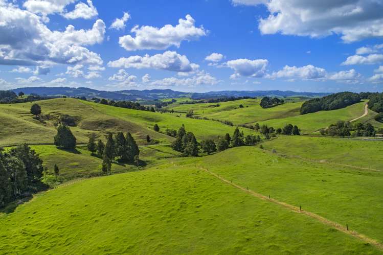 Lot 1 Oetzman Rd Hikurangi Rd2_9