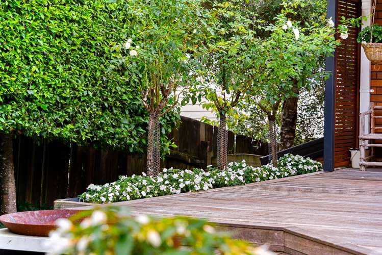 43 Braemar Road Rothesay Bay_15