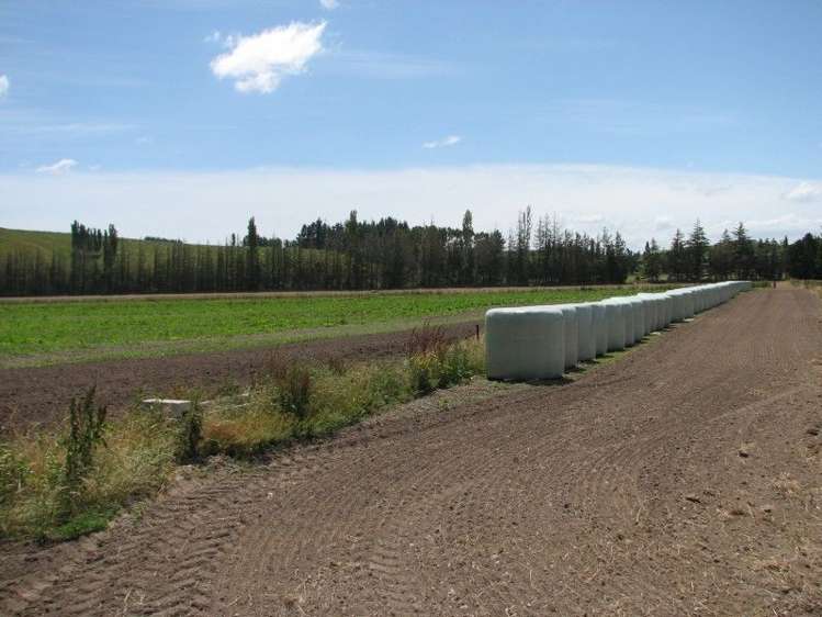 1259 Lakeside Road Milton_12