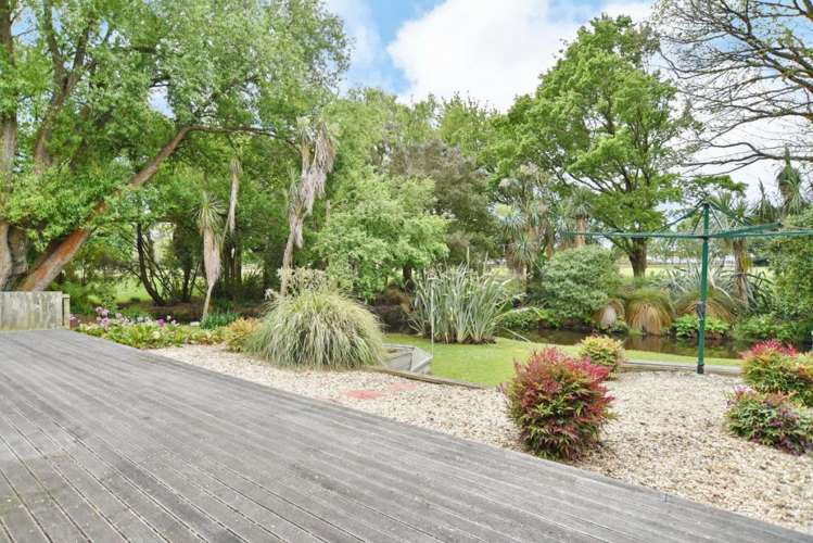 5 Penny Lane Hoon Hay_20