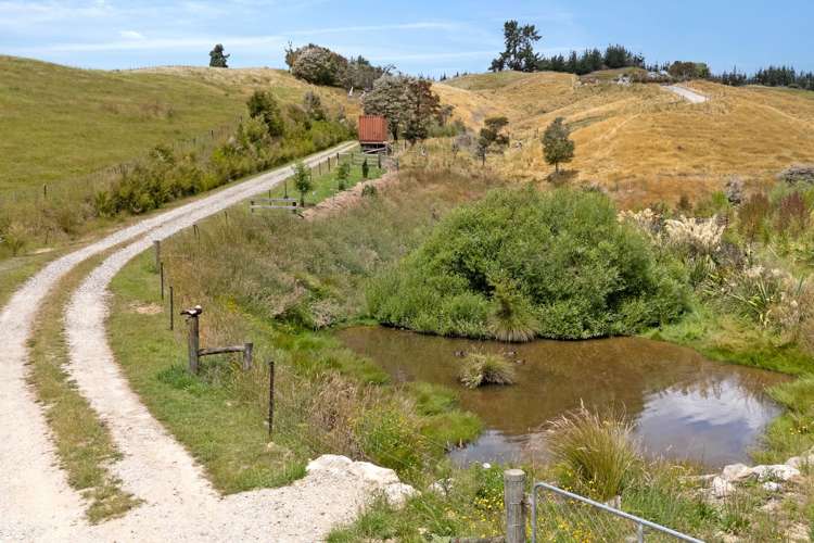 135 Bensemann Road Upper Moutere_25