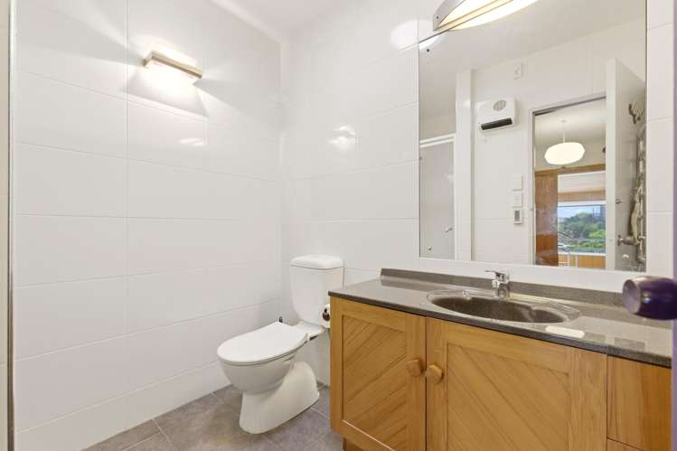 31 Janice Place Mount Pleasant_19