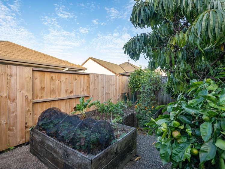 3 Logan Court Chartwell_6