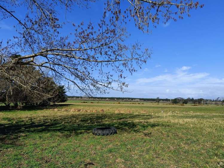 250 Spencerville Road Marshland_19