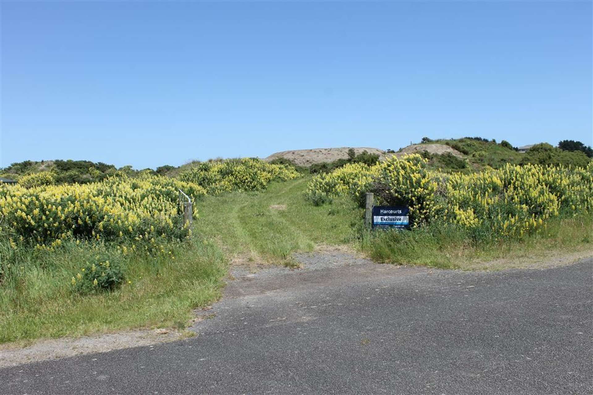 125 Strathnaver Drive Waikawa Beach_0