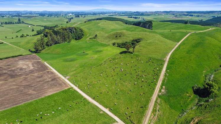 301 Matarawa Road Kinleith_34