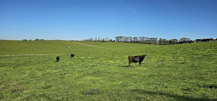 465 Adam Fleming Road Crossans Corner_15