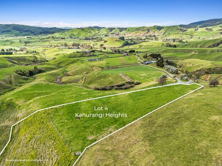 928 Kairangi Road Rotoorangi_8