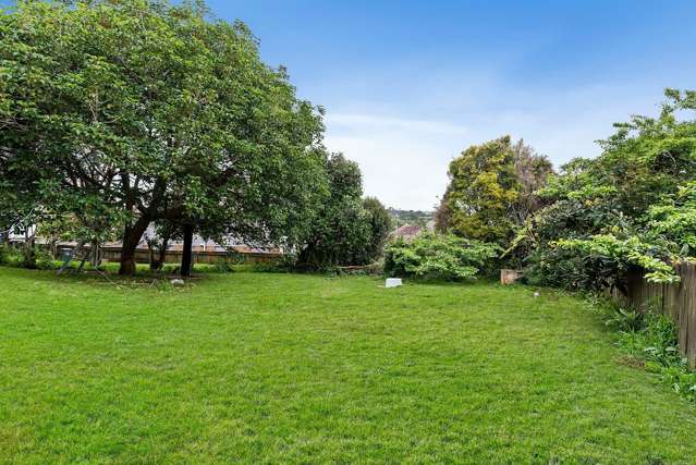 15 Simmonds Avenue Mount Roskill_1