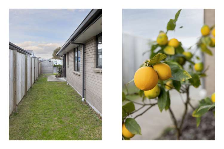 1 Te Rito Way Papamoa_32