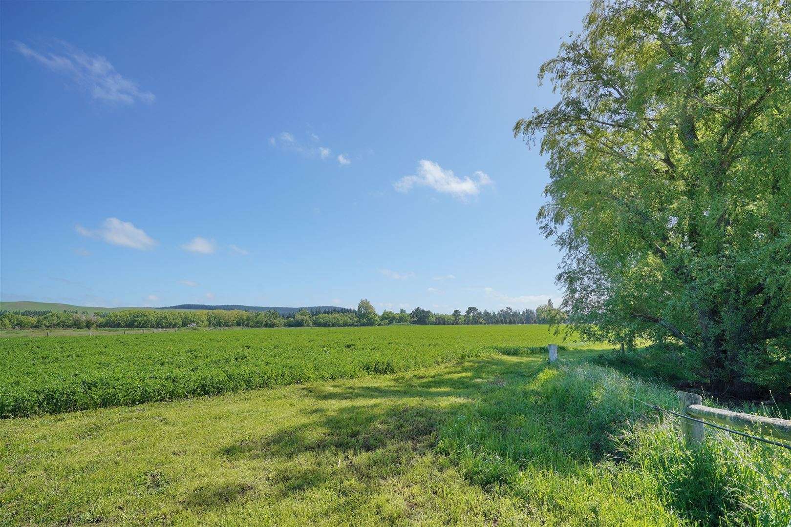 421 Birch Hill Road Okuku Waimakariri Houses for Sale One Roof