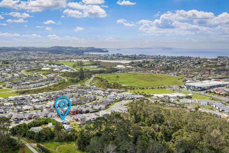 71 Wainui Road Millwater_1