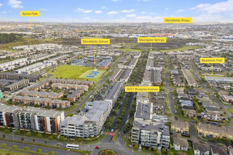 303/1 Bluegrey Avenue Stonefields_3