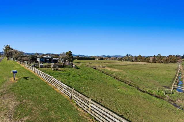 27 Baird Road Opotiki and Surrounds_3