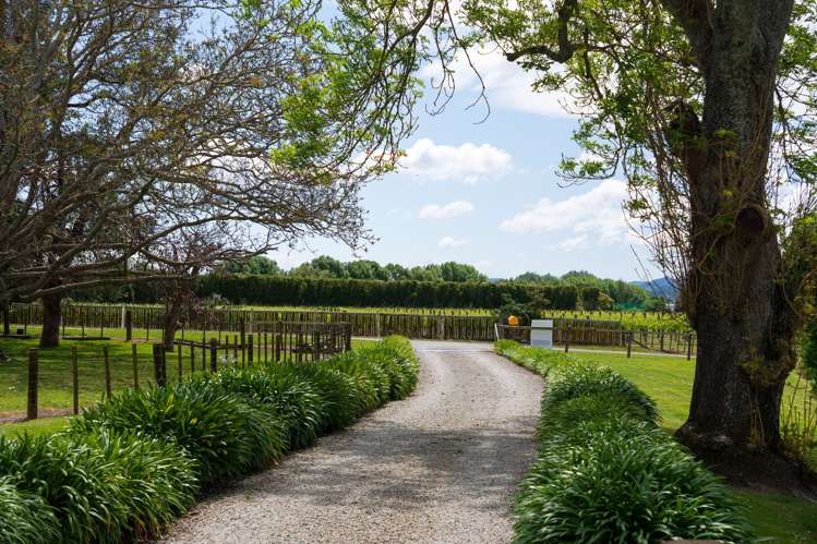 33 Caesar Road Ormond_0