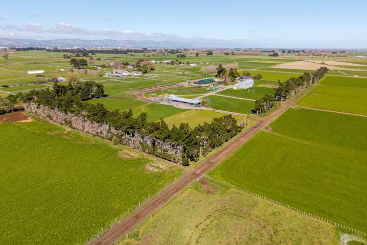 1040 Roberts Line Bunnythorpe_11