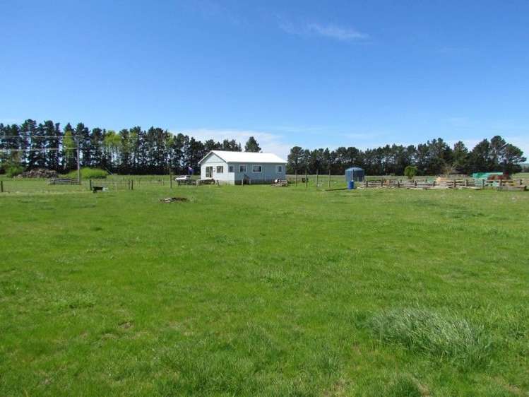 1573 Tikokino Road Tikokino_1