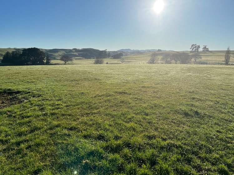 680 Cowper Road Dannevirke_6