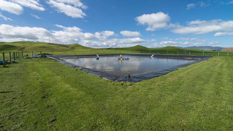 913 Whirinaki Valley Road Ngakuru_7