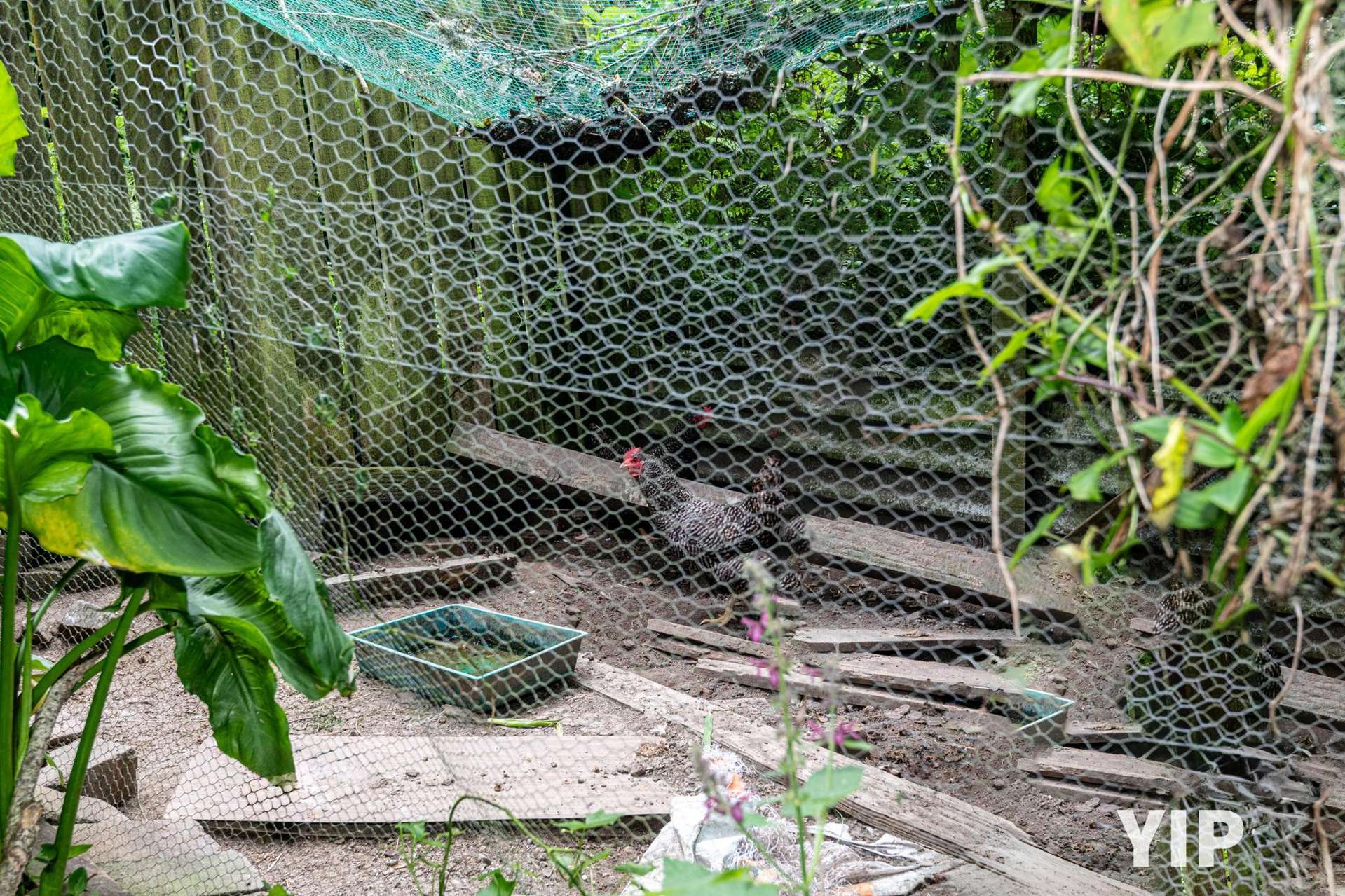 25 Prospect Terrace Johnsonville_0