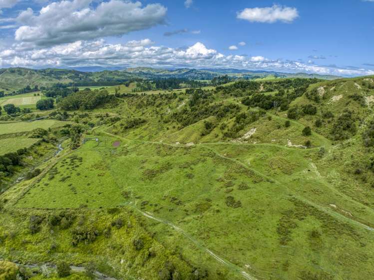 851 Awamate Road Frasertown_6