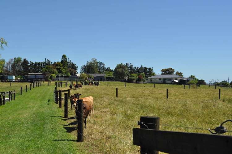 96 Westhead Road Waiuku_20